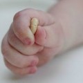 fingerfoods