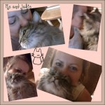 Cat owner pictures,how to make a picnik collage