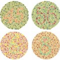colorblind color-blind-test