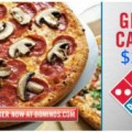 dominosgc dominosgc