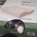newmanbox