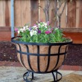 plowhearth1 steel coco basket planter