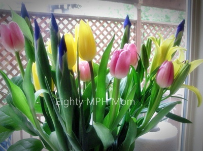 Mother's Day Flowers