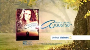 DVDatWalmart (500x281)