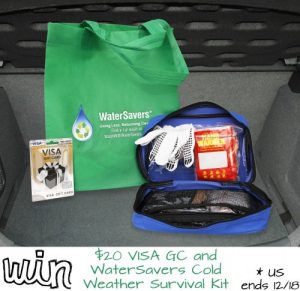 Are You Ready for Winter? $20 VISA GC and WaterSavers Cold Weather Survival Kit Giveaway