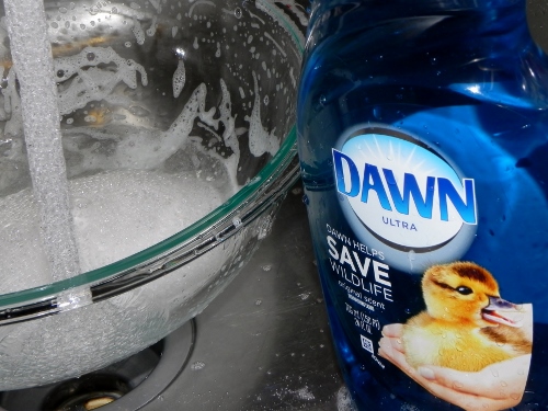 Dawn Dish Soap - Simplify Your Summer