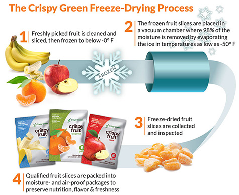 Freeze-Dry-Process_Final