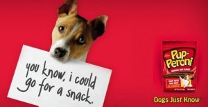 Pup-Peroni Snack