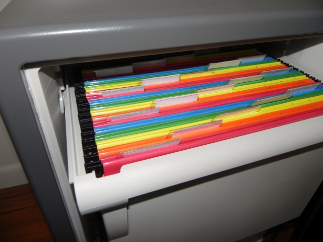 SentrySafe - File Tray