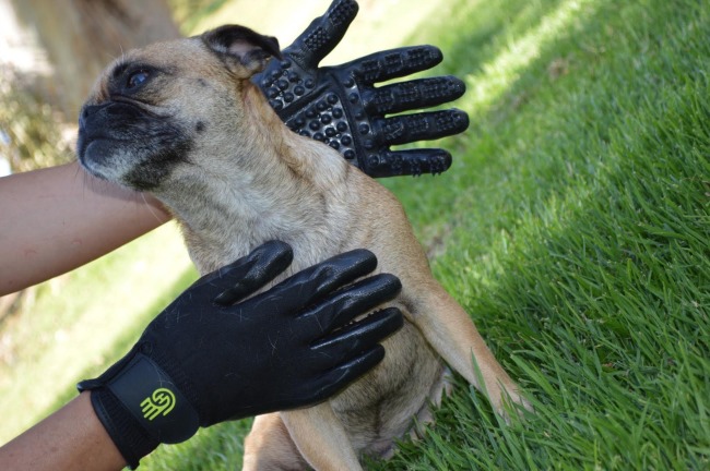 HandsOn Gloves for removing pet fur
