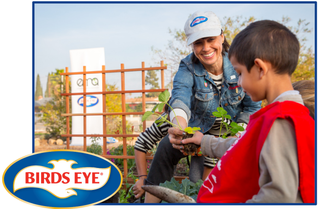 birds eye green my school