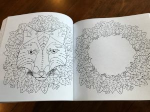 draw and color your way to a younger brain