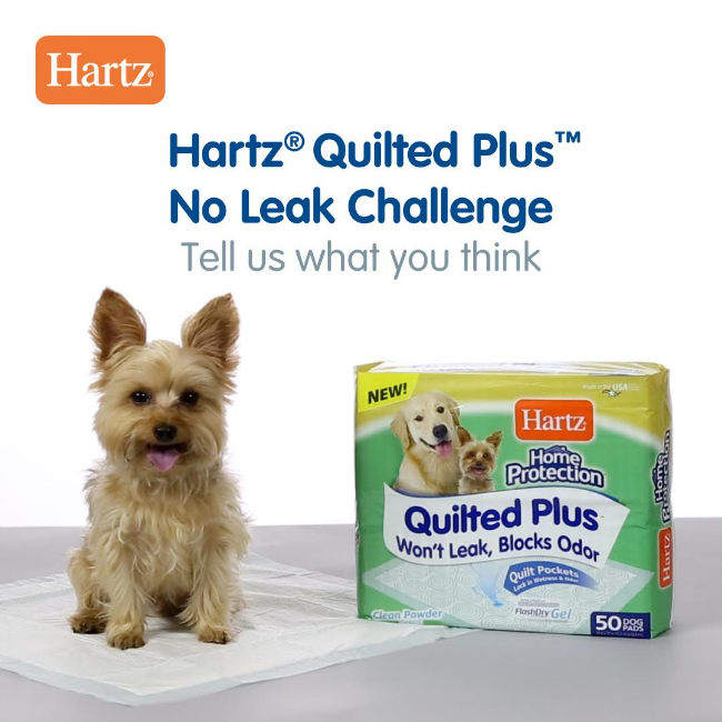 Hartz Quilted Plus Dog Pads