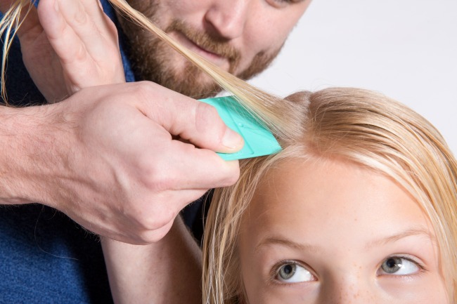 The Truth About Lice: Debugging the Myths 