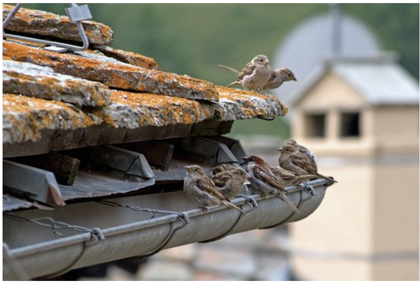 7 Ways To Tell Your Gutters Need To Be Repaired