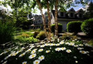 Sustainable Practices for a Thriving Garden